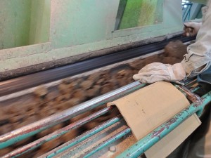 異物除去の様子