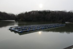 完成したユニットを池の上で連結