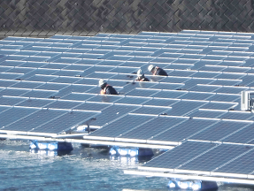 フロート式水上太陽光パネル間の配線をする作業員